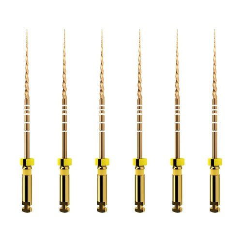 protaper gold f1 A0411225G0103.jpg